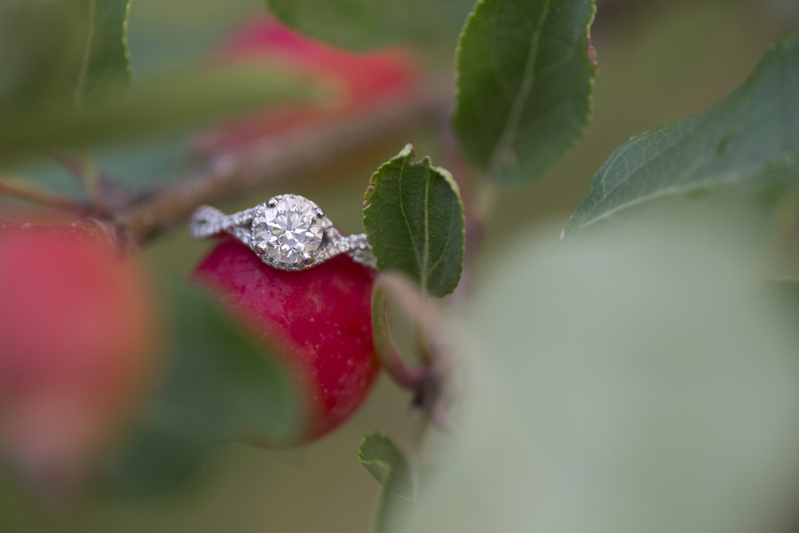 Camille & Ryan -engaged! {Calgary wedding photographer} - Modern ...