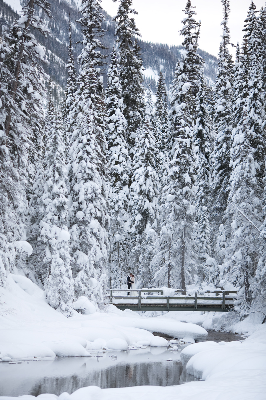 Siobhan & Adam -married! {Emerald Lake Wedding Photographer}